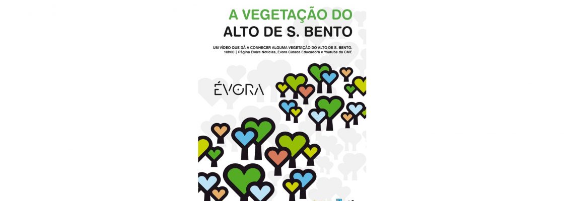 21 de Março – Dia Mundial da Árvore e Dia Internacional das Florestas