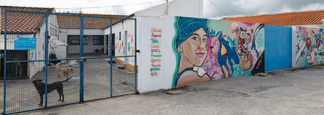 Canil Gatil Municipal de Évora entre os que apresentam melhor desempenho ao nível nacional