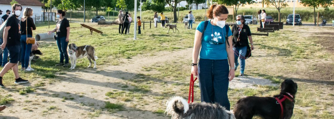 O Novo Parque Canino de Évora já abriu ao Público