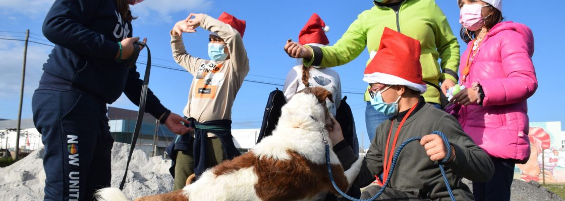 Alunos da EB da Manuel Ferreira Patrício conheceram funcionamento do Serviço Veterinário Munic...