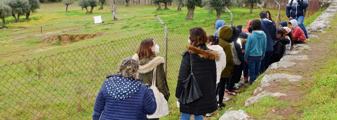 Alunos da EB Cruz da Picada foram conhecer a história do Aqueduto da Água de Prata