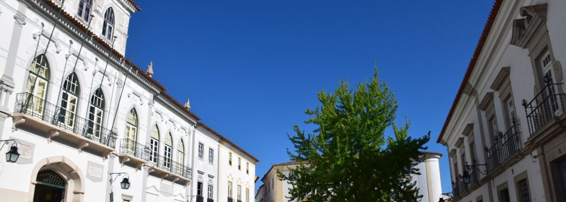 Principais assuntos tratados na reunião pública de Câmara de 1 de Junho
