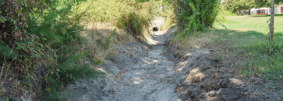 DESASSOREAMENTO E LIMPEZA SÃO FATORES DE VALORIZAÇÃO DA RIBEIRA DA TORREGELA