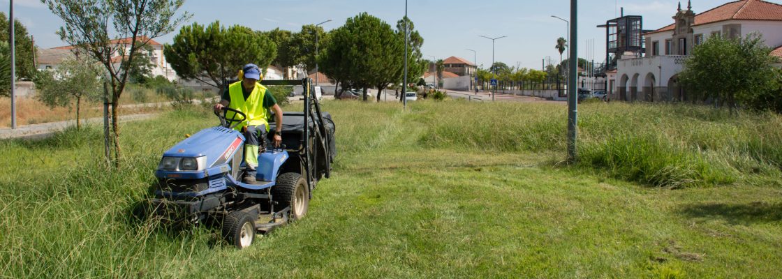 CÂMARA MUNICIPAL DINAMIZA ECOBRIGADA E INVESTE EM NOVAS TÉCNICAS PARA GESTÃO E TRATAMENTO DOS ...