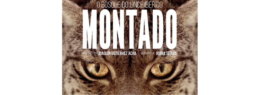 MONTADO, um filme de Joaquín Gutiérrez