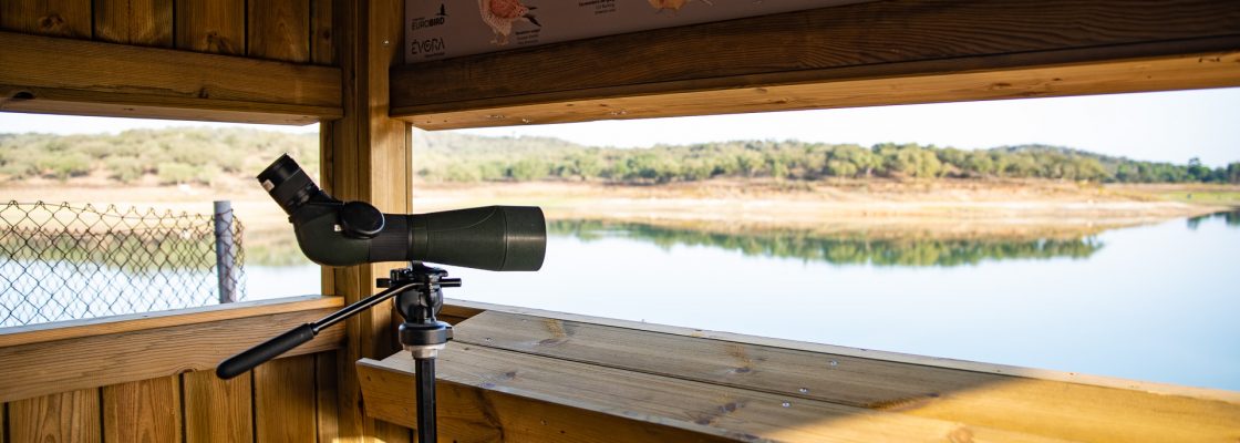 INAUGURAÇÃO DE OBSERVATÓRIO DE AVES NA ALBUFEIRA DO DIVOR INCLUI WORKSHOP DE ANILHAGEM CIENTÍ...