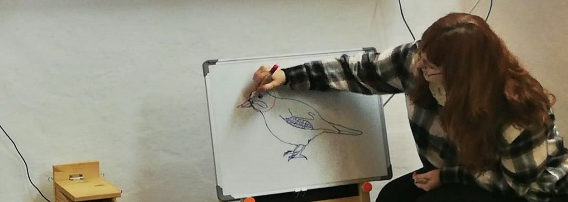 Crianças descobrem a ciência através da arte no Alto de S. Bento