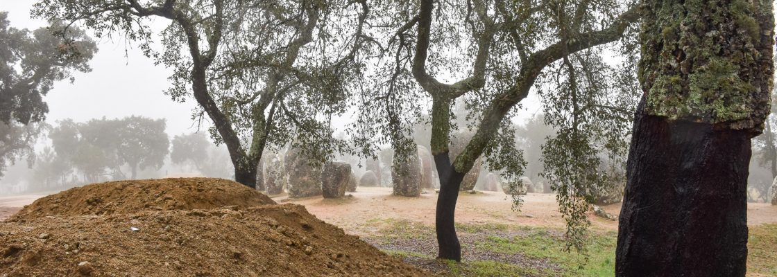 CROMELEQUE DOS ALMENDRES – INICIADOS TRABALHOS DE SALVAGUARDA E VALORIZAÇÃO