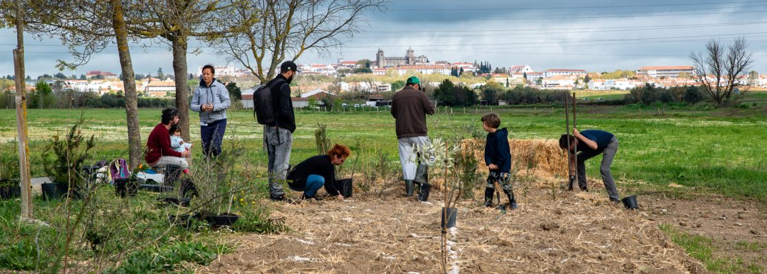 Em Évora FAMÍLIAS JUNTAM-SE PARA PLANTAR UMA MICRO FLORESTA