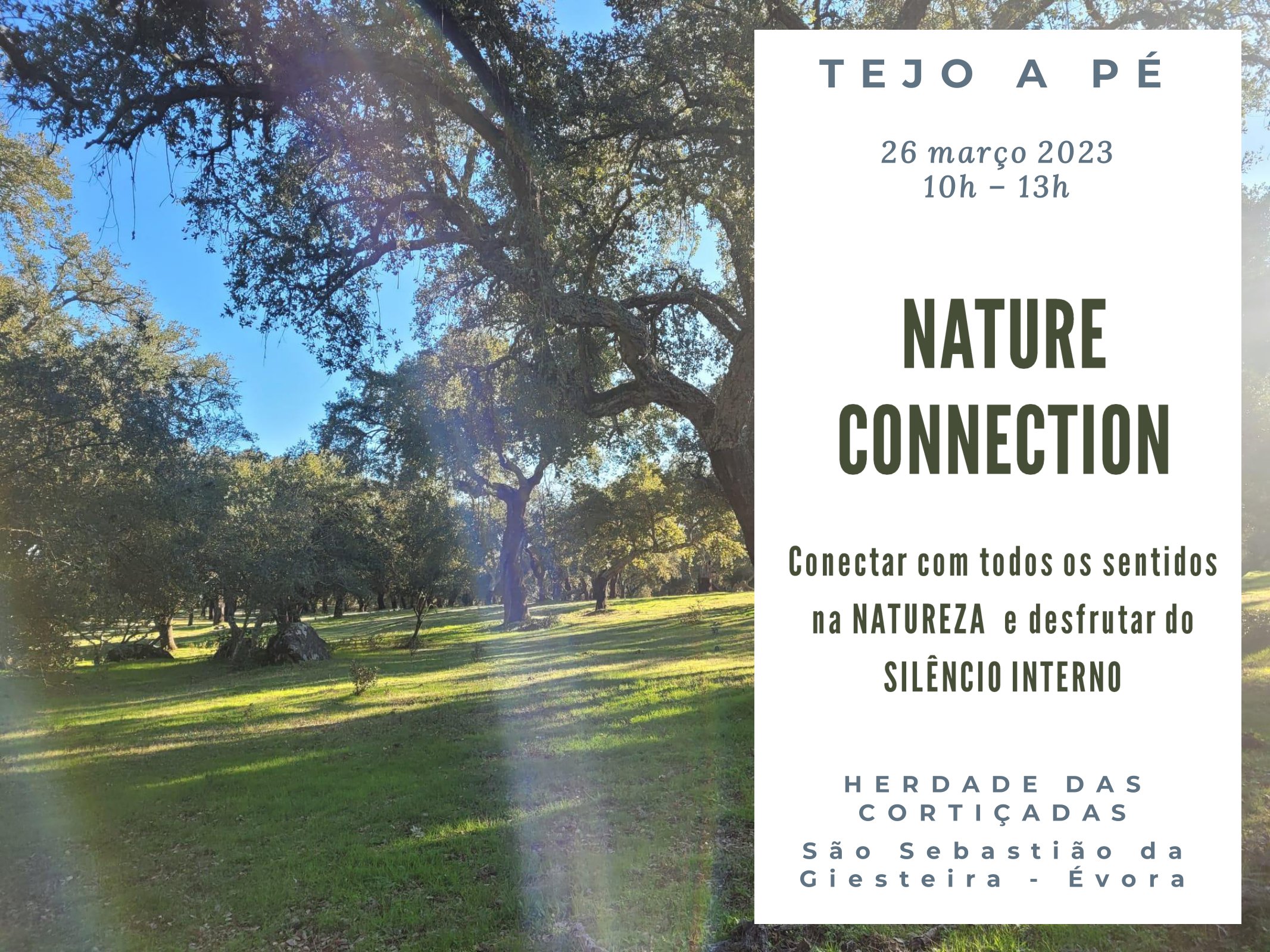 Nature Connection