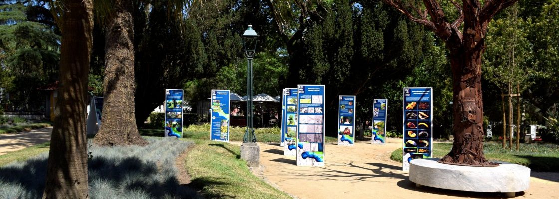 Exposição de divulgação científica mostra o valor de rios e ribeiras urbanas para o equilíb...