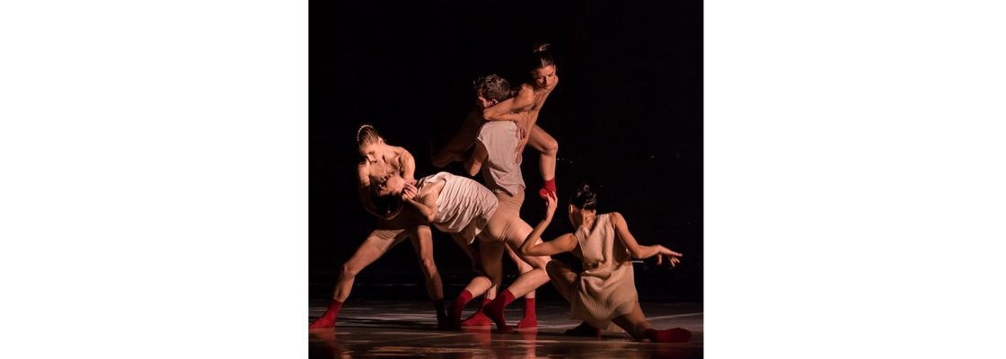 Arquivado: FIDANC – Festival Internacional de Dança Contemporânea