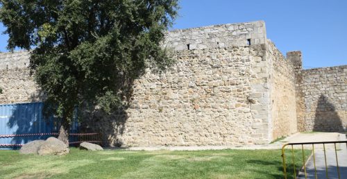 Câmara promove intervenção urgente para consolidação e estabilização de troço da muralha medieval