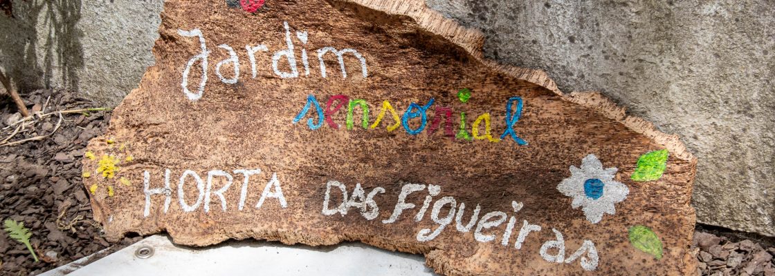JARDIM SENSORIAL INAUGURADO NA EB HORTA DAS FIGUEIRAS
