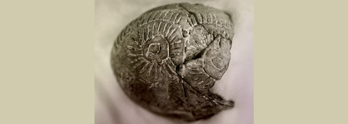 Arquivado: Oficina de Cerâmica Manual | Jornadas Europeias da Arqueologia