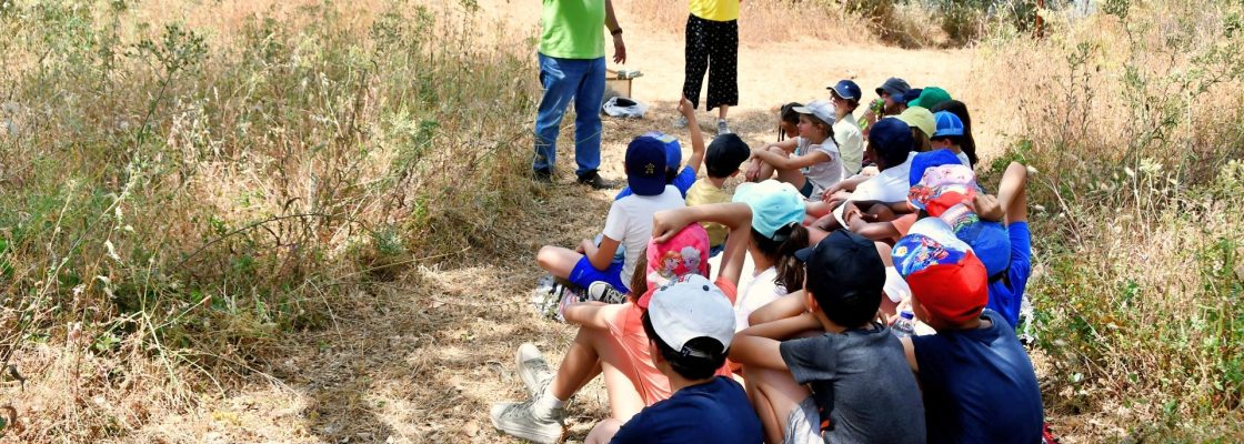 Miúdos e Graúdos Eborenses Unidos na Preservação do Ambiente