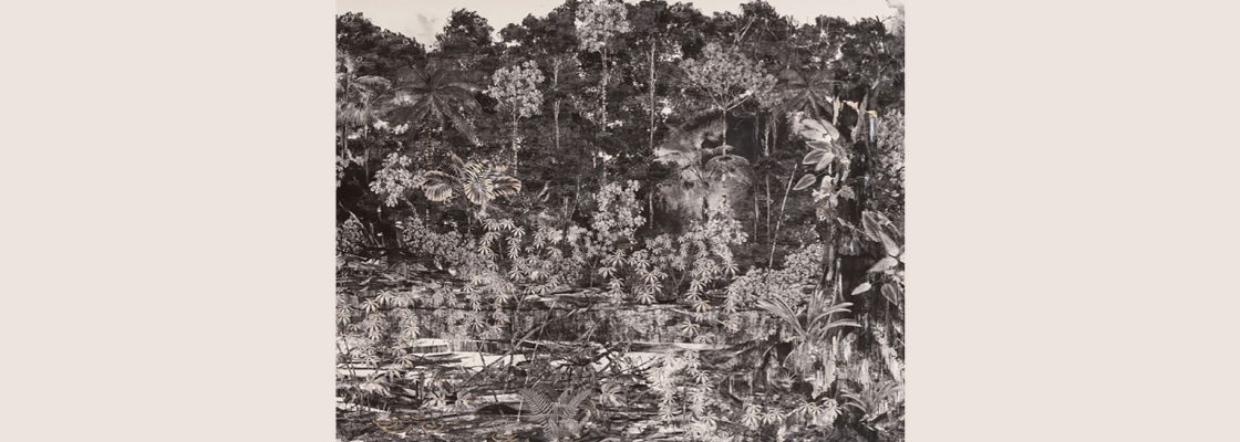 Arquivado: Exposição «Devir Paisagem»