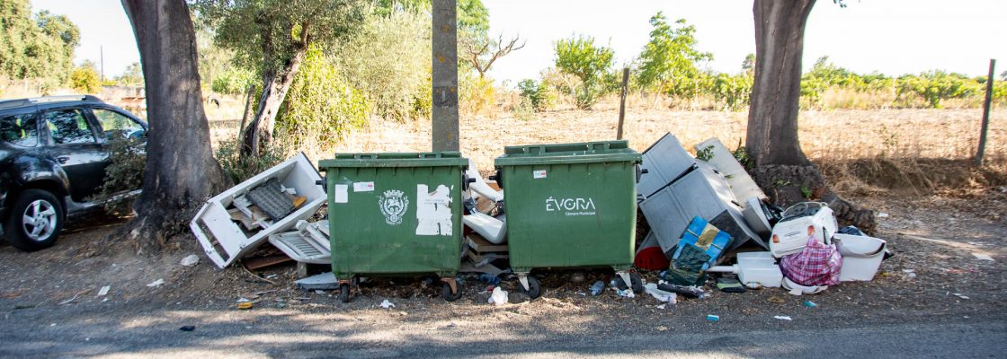MONSTROS DOMÉSTICOS TÊM DESTINO