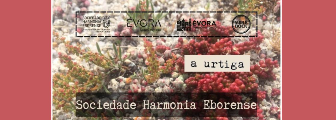 Arquivado: a urtiga /\ SHE