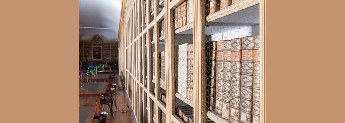 Arquivado: Conferência / Aula Aberta com a Professora Doutora Marta Lourenço, Diretora do Museu...