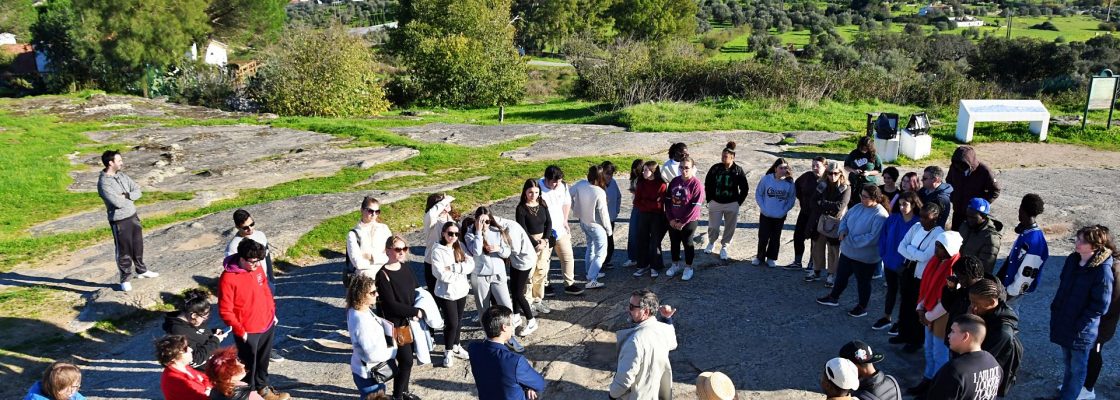 Dia Internacional do Voluntariado: Voluntários contribuem para reflorestação do Alto de São B...