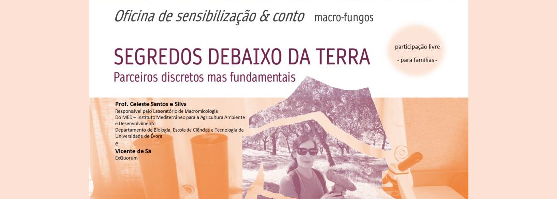Arquivado: SEGREDOS DEBAIXO DA TERRA, parceiros discretos mas fundamentais | Oficina de sensibili...