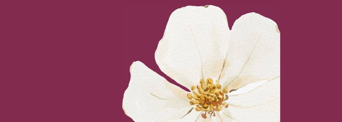 Arquivado: MENOPAUSA – Literacia em Saúde | Armazém 8  – Ciclo “É Por Elas&#...