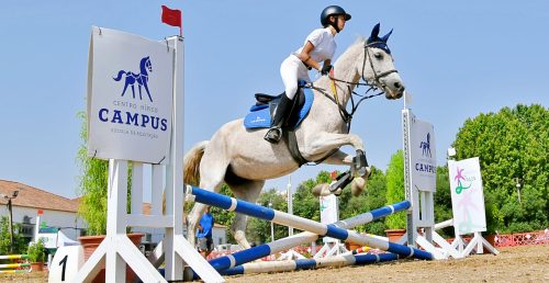 VII Jornada do 3.º Troféu Alentejo em Obstáculos 2025 (Campus – Associação Equestre) no Picadeiro do Ex-Iroma |Feira de S. João