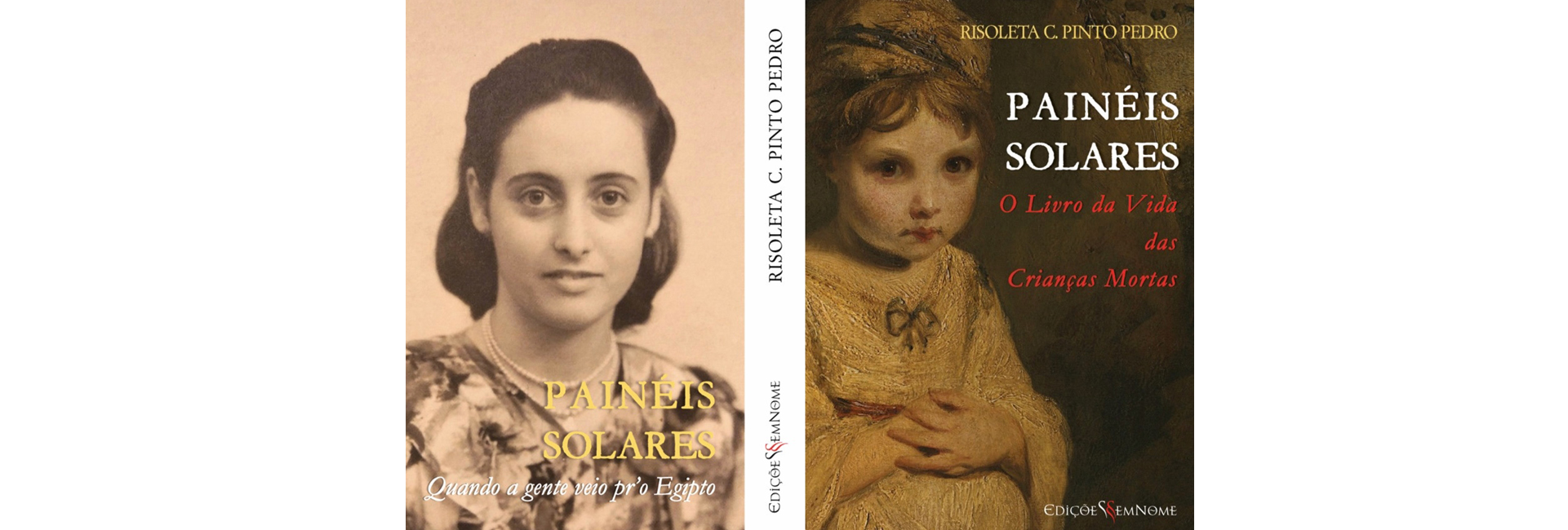 Lançamento do livro “Painéis Solares” de Risoleta C. Pinto Pedro