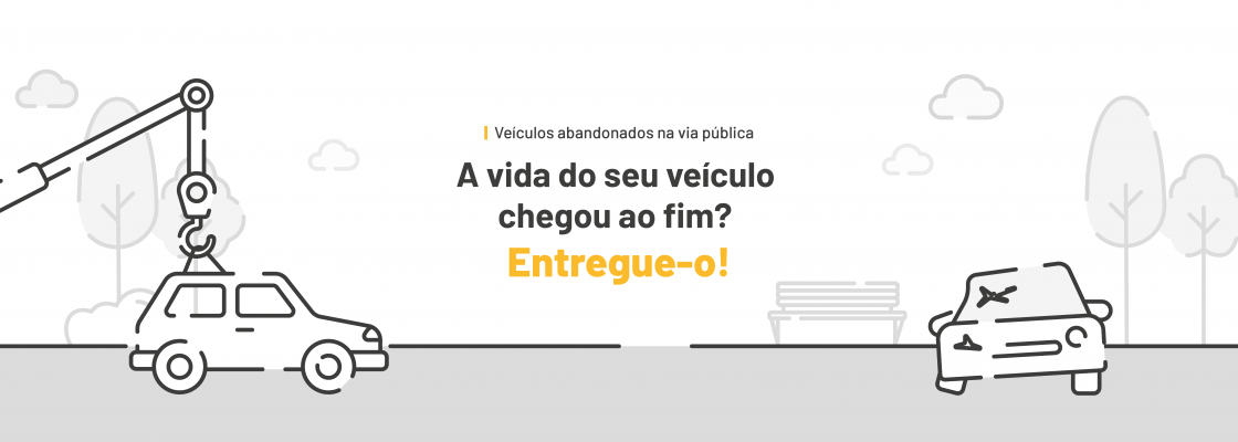 Remoção de Veículos da Via Pública