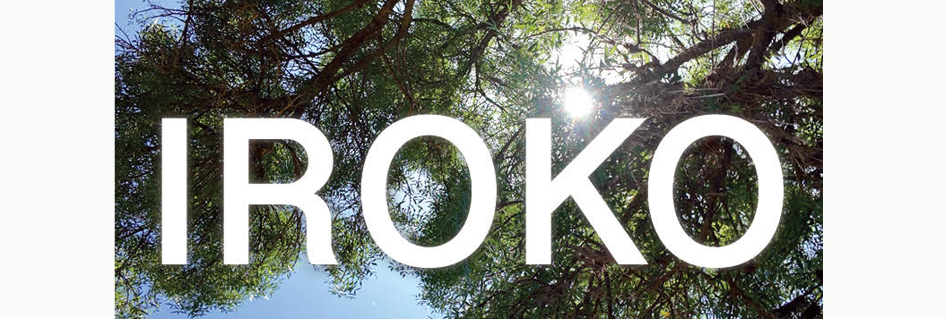 Documentário IROKO, um filme de RAQUEL PACHECO